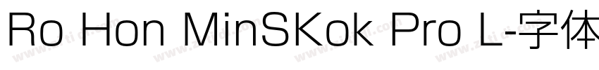 Ro Hon MinSKok Pro L字体转换